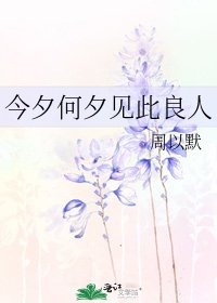 今夕何夕见此良人